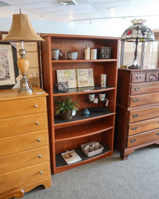 Five Shelf Bookcase - Image 3