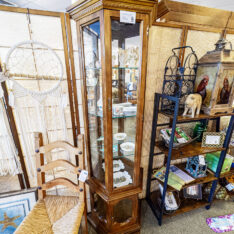Pulaski Single Curio Cabinet